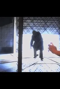 Горбун из Бель-Эйр (фильм 2021)